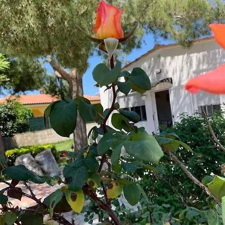 Fiori Giardino, 400 M. Mare Con Parcheggio بيت للعطل