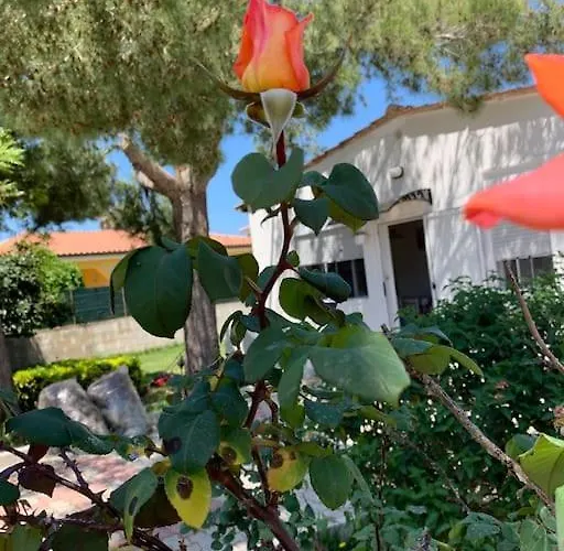 Fiori Giardino, 400 M. Mare Con Parcheggio Holiday home